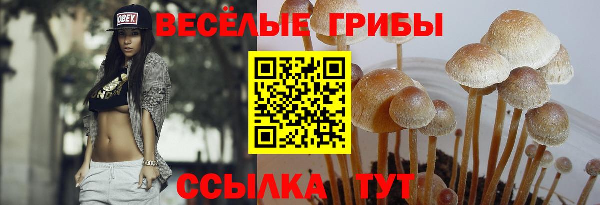 Галлюциногенные грибы мухоморы Усинск